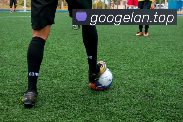 App Interface Preview